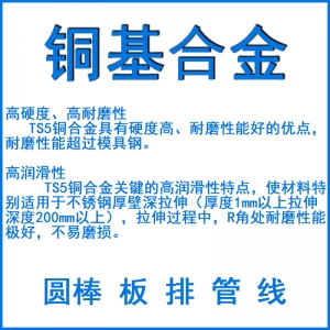 TS1 TS2 TS3 TS4 TS5銅基合金